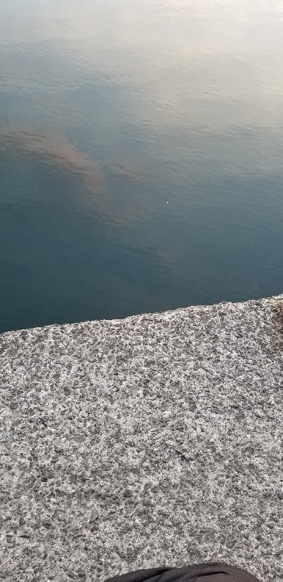 やはり千田漁港は釣れない。　