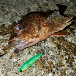 オリカラで春爆！