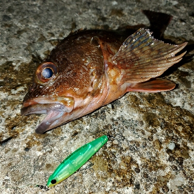 オリカラで春爆！