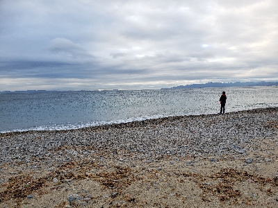 雨風がなかなか