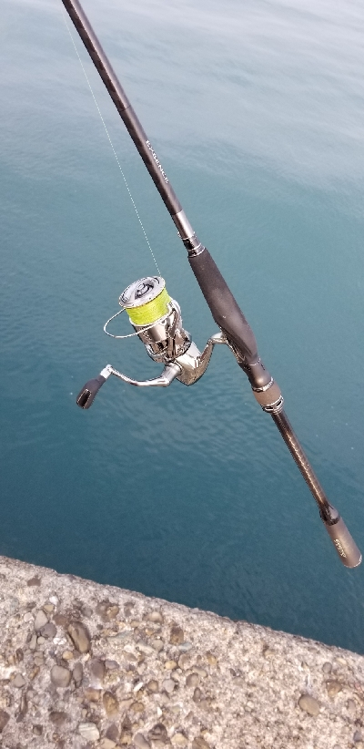 底にいたのはサッワラ~ 出勤前に。