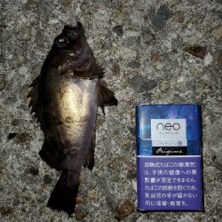 お祭り騒ぎ状態！