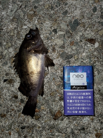 お祭り騒ぎ状態！