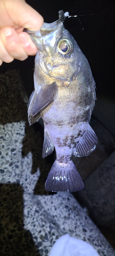 フロートメバリング