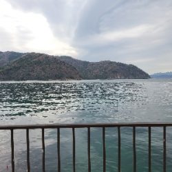 久しぶりの投稿