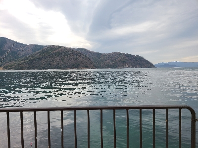 久しぶりの投稿