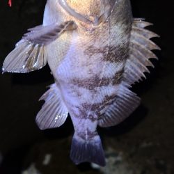 フロートメバリング