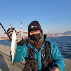 ターゲットだけライトなショアジギング。