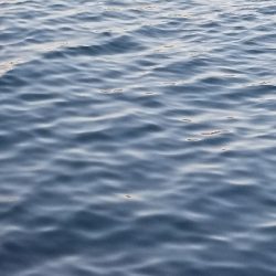 シーバス釣りの人に朗報かな。