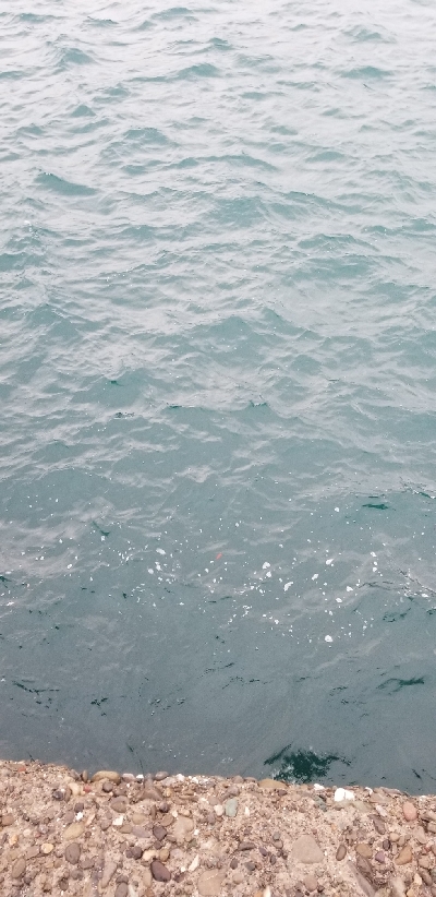 出勤前に鰤！！