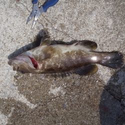 渋い中で何とか