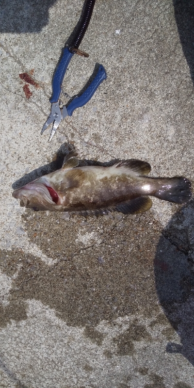 渋い中で何とか