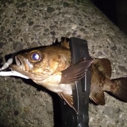 強風ライトゲーム