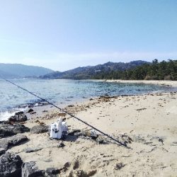 天橋立のキス釣り