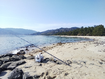 天橋立のキス釣り