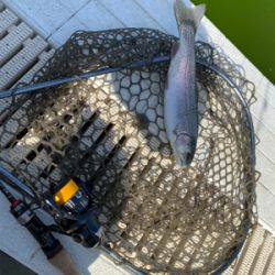 気温が暑い、服部緑地