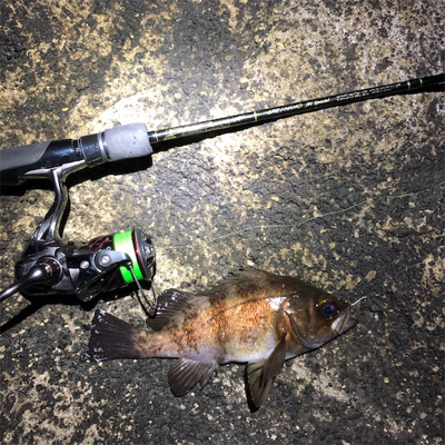 2021 佐渡ヶ島 メバリング