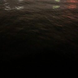 突如現れた中アジ!