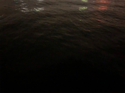 突如現れた中アジ!