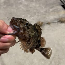 ガシラマンション