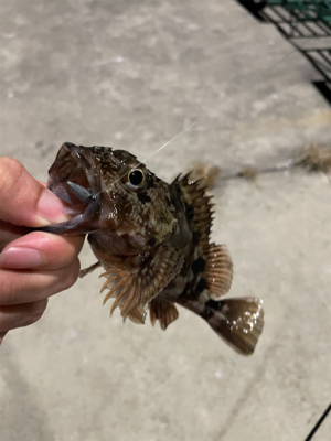 ガシラマンション