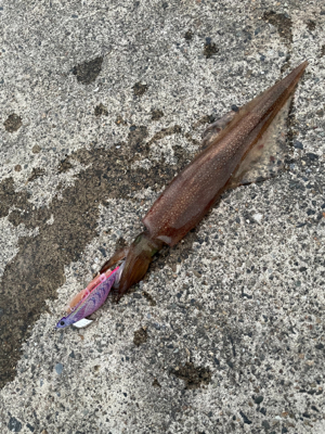 爆風予報の釣行で…