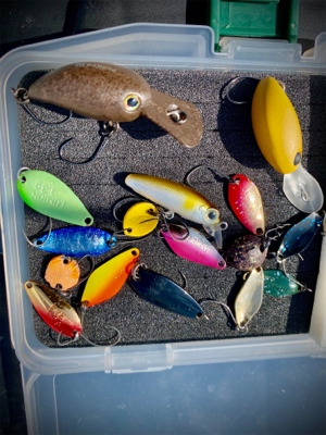 岸和田フィッシングパーク