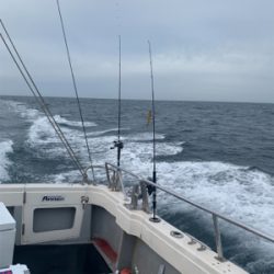 丹後沖ジギング