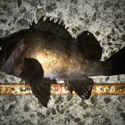 2021ライトゲーム第6戦