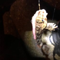 なかなか乗せられず…