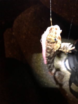 なかなか乗せられず…