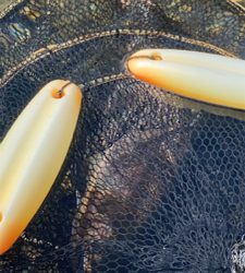 黒保根渓流フィッシング