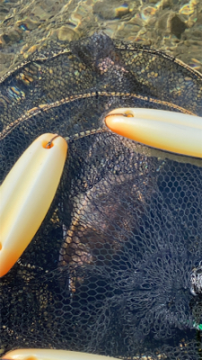 黒保根渓流フィッシング