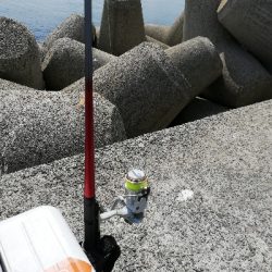 癒やしの穴釣り