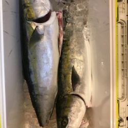 激ハードジギング