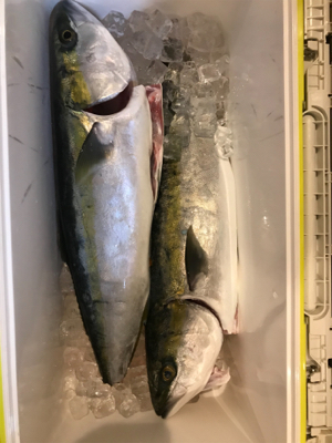 激ハードジギング