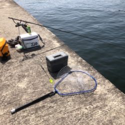 スリットの洗礼