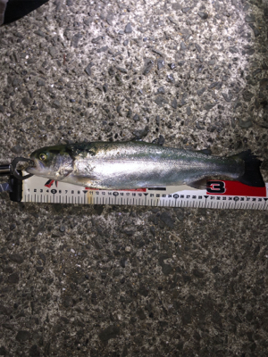 川魚でしょうか？