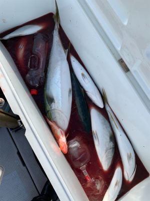 丹後沖ジギング