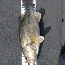 シャローパターン