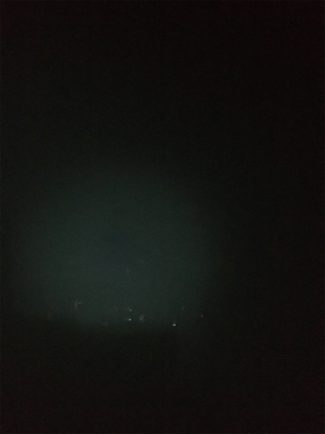 久しぶりにこうちゃんに出会えた