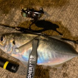 坊主は回避できたから良し!