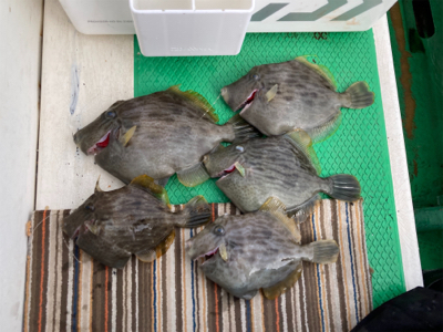 山下丸　カワハギ