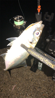 雨上がりアジングナイト