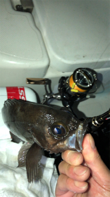 ボートメバリング