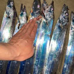 ジグヘッドで入れ食い!!