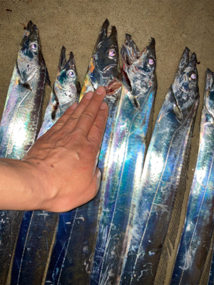 ジグヘッドで入れ食い!!