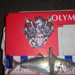 アジング練習　257