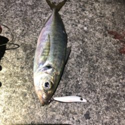 激渋メバリング