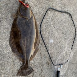 座布団いただきました！